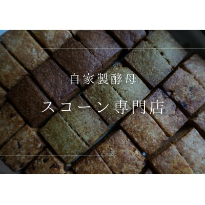 自家製酵母スコーンのお包み【たねのおやつ】_HA1616