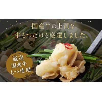 食べ比べ 博多 もつ鍋 2種 醤油 味噌 (2～3人前×2セット)【伊豆丸商店】_HA1654