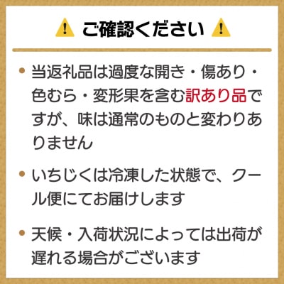 訳あり冷凍いちじく(とよみつひめ」)500g【JAほたるの里】_HA1657