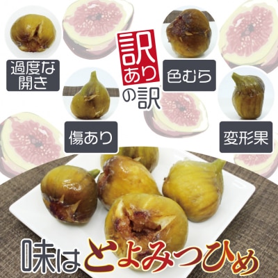 訳あり冷凍いちじく(とよみつひめ」)1kg【JAほたるの里】_HA1658