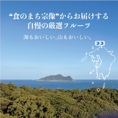 【3ヶ月連続お届け】人気の冷凍フルーツ定期便【JAほたるの里】_HB0191