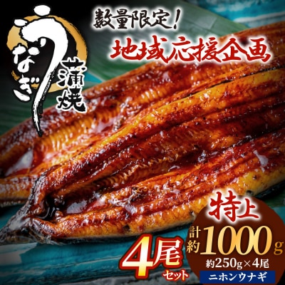 うなぎ蒲焼き4尾セット(約250g×4尾)【魚住商店】_HA1494