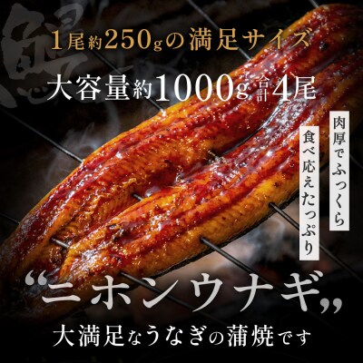 数量限定!地域応援企画!うなぎ蒲焼き4尾セット(約250g×4尾)【魚住商店】_HA1494