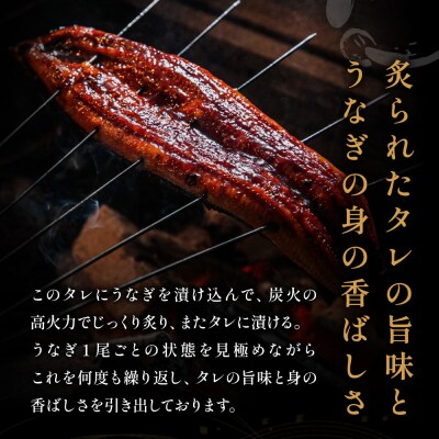 数量限定!地域応援企画!うなぎ蒲焼き4尾セット(約250g×4尾)【魚住商店】_HA1494
