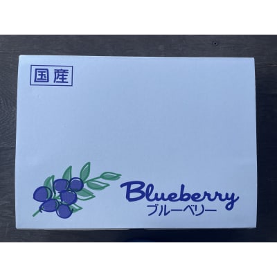 数量限定大粒ブルーベリー(500g) 栽培期間中農薬不使用【えのさんのブルーベリー園】_HA1356