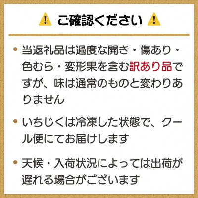 訳あり冷凍いちじく「とよみつひめ」3kg【JAほたるの里】_HA1678