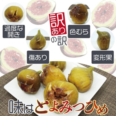 訳あり冷凍いちじく「とよみつひめ」3kg【JAほたるの里】_HA1678