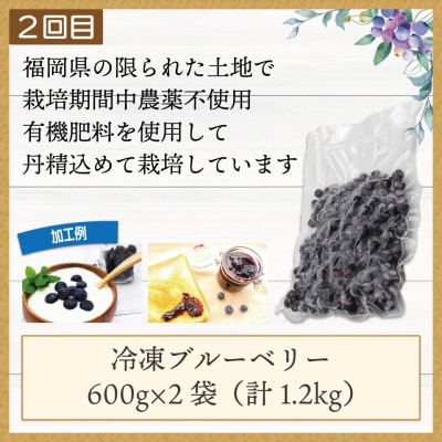 【3ヶ月連続お届け】人気の冷凍フルーツ定期便【JAほたるの里】_HB0191