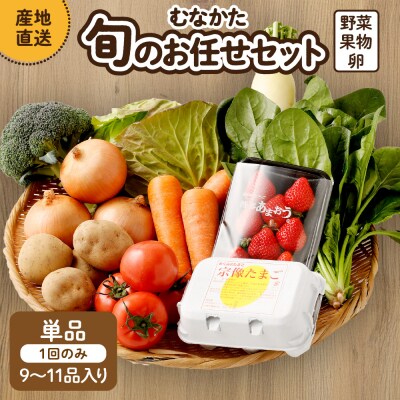 むなかた旬のお任せセット(野菜・フルーツ・卵) 9～11品【JAほたるの里】_HA1712