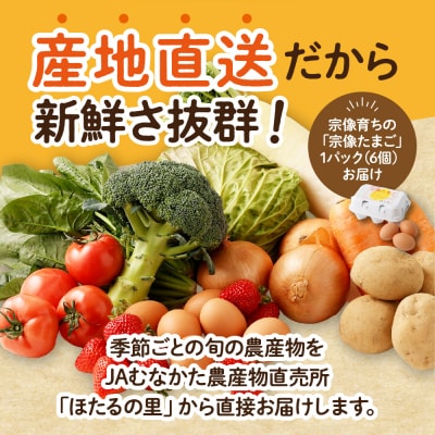 むなかた旬のお任せセット(野菜・フルーツ・卵) 9～11品【JAほたるの里】_HA1712