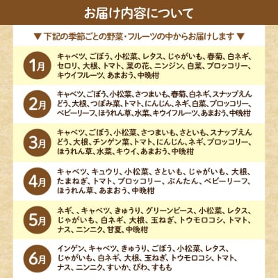むなかた旬のお任せセット(野菜・フルーツ・卵) 9～11品【JAほたるの里】_HA1712