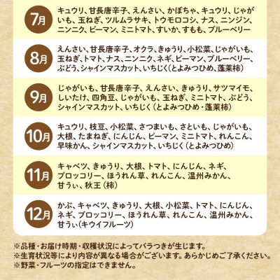 むなかた旬のお任せセット(野菜・フルーツ・卵) 9～11品【JAほたるの里】_HA1712