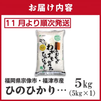 新米先行受付!「ひのひかり」5kg【ほたるの里】_HA1786