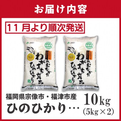 令和7年産新米先行受付!「ひのひかり」10kg【ほたるの里】_HA1787