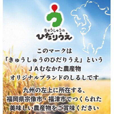 令和7年産新米先行受付!「ひのひかり」10kg【ほたるの里】_HA1787
