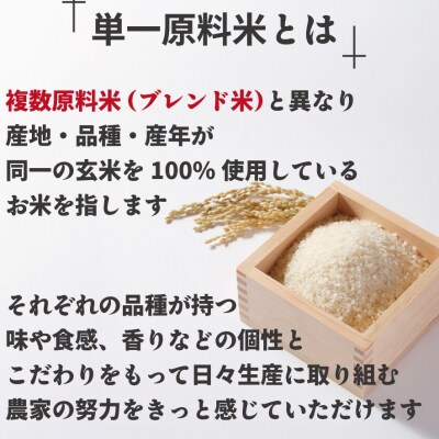 令和7年産新米先行受付!「ひのひかり」10kg【ほたるの里】_HA1787