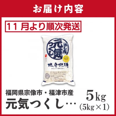 新米先行受付! 元気つくし5kg【ほたるの里】_HA1788
