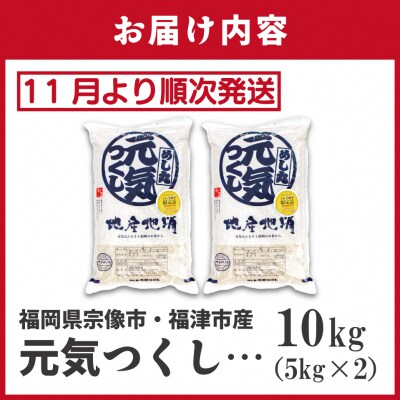 先行受付 福岡県ブランド米「元気つくし」10kg【ほたるの里】_HA1789