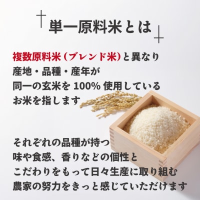 新米先行受付「夢つくし」5kg【ほたるの里】_HA1790