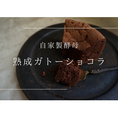 熟成ガトーショコラ【たねのおやつ】_HA1675