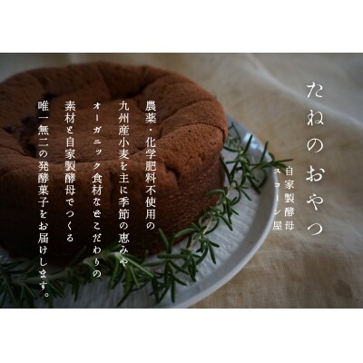 熟成ガトーショコラ【たねのおやつ】_HA1675