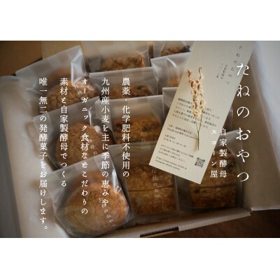 プラリネバターサンドと自家製酵母スコーン【たねのおやつ】_HA1674