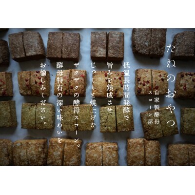 プラリネバターサンドと自家製酵母スコーン【たねのおやつ】_HA1674