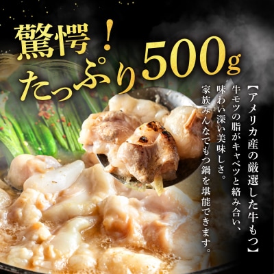もつ増量500g　特製塩もつ鍋セット(2～3人前セット)【魚住商店】_HA1565