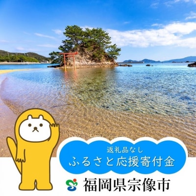 【返礼品なし】宗像市ふるさと応援寄附 100,000円_HA1800