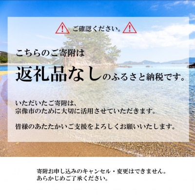 【返礼品なし】宗像市ふるさと応援寄附 100,000円_HA1800