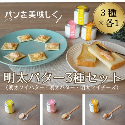 明太バター・明太ソイバター・明太ソイチーズ3種セット【ちかえフーズ】_HA1668