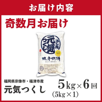 令和7年産 新米先行予約!【定期便/年6回】元気つくし5kg【ほたるの里】_HB0204