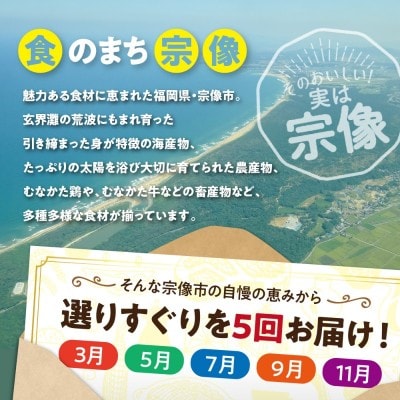 【年5回お届け】福岡宗像の「おいしい」をお届け!ふくおかむなかたお楽しみ定期便_HB0203