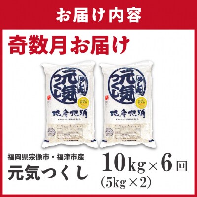 令和7年産 新米先行予約!【定期便/年6回】「元気つくし」10kg【ほたるの里】_HB0206