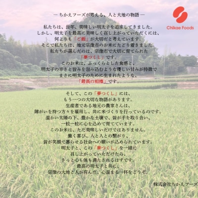 宗像産 夢つくし 10kg(5kg×2)【ちかえフーズ】_HA1808