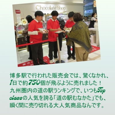 セゾン・ド・MUNAKATA ～宗像の四季だより～ 8枚入り【道の駅むなかた】_HA1805