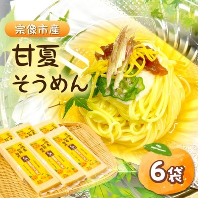 宗像市産甘夏そうめん 6袋セット【道の駅むなかた】_HA1826