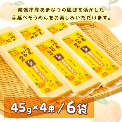 宗像市産甘夏そうめん 6袋セット【道の駅むなかた】_HA1826
