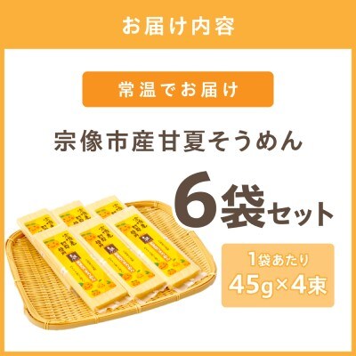 宗像市産甘夏そうめん 6袋セット【道の駅むなかた】_HA1826