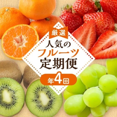 【定期便/年4回】JAむなかた厳選!人気のフルーツ定期便【ほたるの里】_HB0140