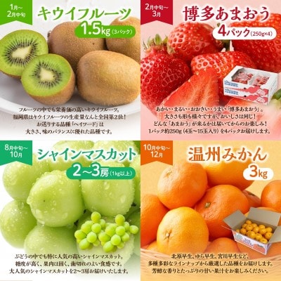 【定期便/年4回】JAむなかた厳選!人気のフルーツ定期便【ほたるの里】_HB0140