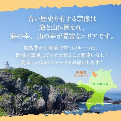【定期便/年4回】JAむなかた厳選!人気のフルーツ定期便【ほたるの里】_HB0140