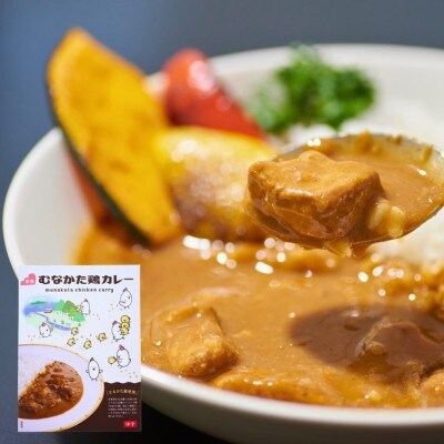 【道の駅むなかた】むなかた鶏カレー 定番メニューセット_HA1839