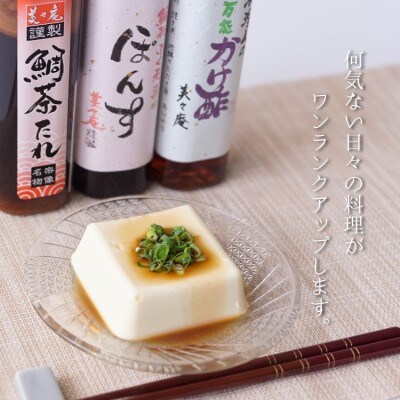 【一週間以内に発送】料理人自慢の調味料セット【道の駅むなかた】_HA1818