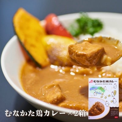 むなかた鶏　鶏づくしセット(計1.3kg)【道の駅むなかた】_HA1837