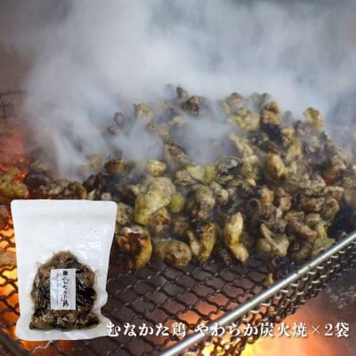 むなかた鶏　鶏づくしセット(計1.3kg)【道の駅むなかた】_HA1837