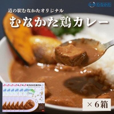 むなかた鶏カレー 6個セット【道の駅むなかた】_HA1827