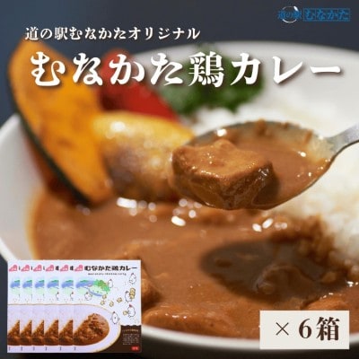 むなかた鶏カレー 6個セット【道の駅むなかた】_HA1827