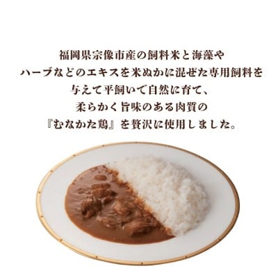 むなかた鶏カレー 6個セット【道の駅むなかた】_HA1827