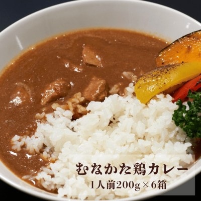 むなかた鶏カレー 6個セット【道の駅むなかた】_HA1827
